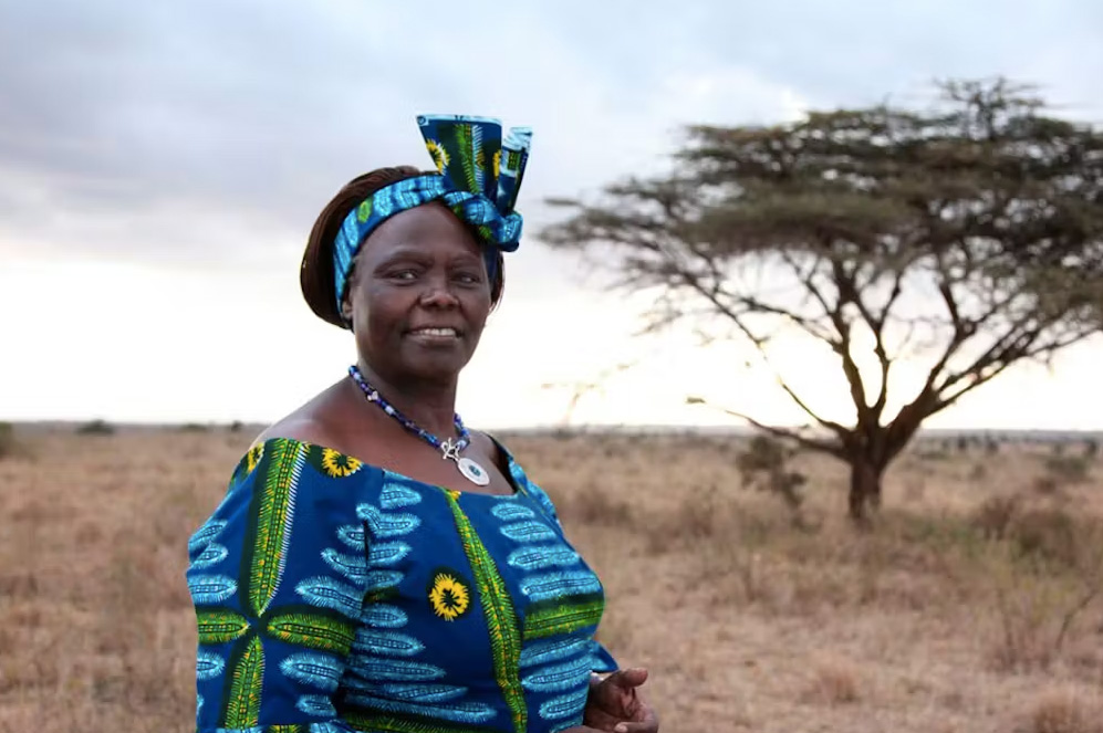 Wangari Muta Maathai fue una política y ecologista keniana. Fue la primera mujer africana en recibir el Premio Nobel de la Paz en 2004 por «su contribución al desarrollo sostenible, la democracia y la paz».