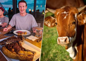Zuckerberg ha llevado su pasión por la tecnología al campo de la ganadería/Foto: Xataca