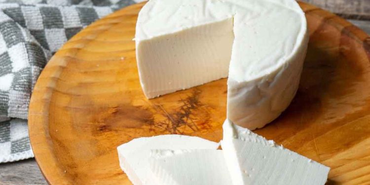 El queso es un regalo de la casualidad que ha enriquecido la gastronomía mundial /Foto: iStock