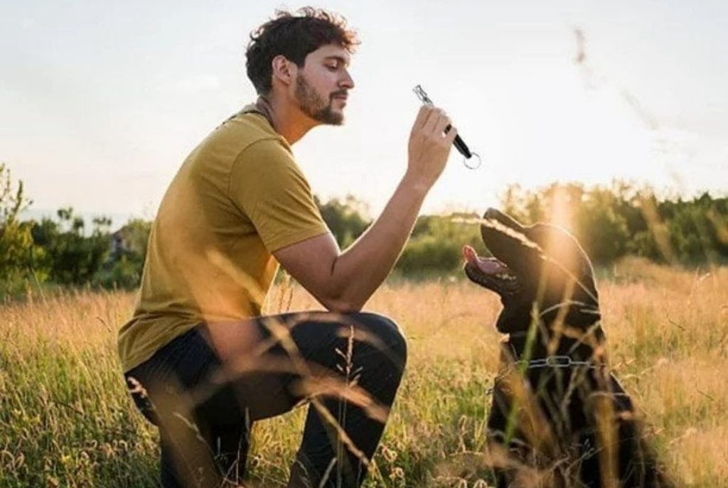 Los silbatos ultrasónicos emiten un sonido de alta frecuencia que es claramente audible para los perros/Foto: bodegaaurrera.com